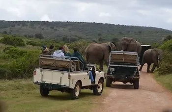פורט אליזבת' Valley Bushveld Country Lodge לינה וארוחת בוקר