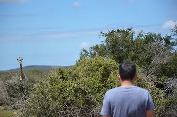 **** לינה וארוחת בוקר פורט אליזבת' Valley Bushveld Country Lodge דרום אפריקה